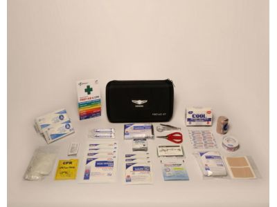 Hyundai Premium First Aid Kit B1F73-AU000-17