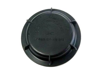 Hyundai 92191-2F500 Cap-Headlamp Dust