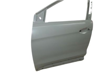 Hyundai 76003-4Z000 Panel Assembly-Front Door,LH