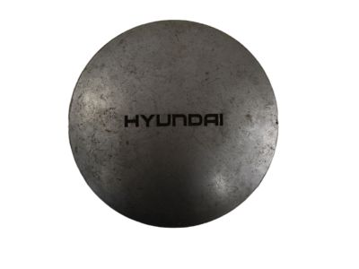 Hyundai 52960-21500 Center Cap