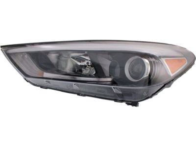 Hyundai 92101-D3150 Left Head Light Compatible