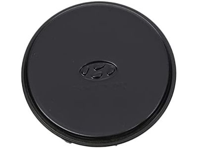 Hyundai 58207-3K000 Cover-Tone Wheel,LH