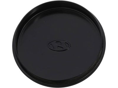 Hyundai 58207-3K000 Cover-Tone Wheel,LH