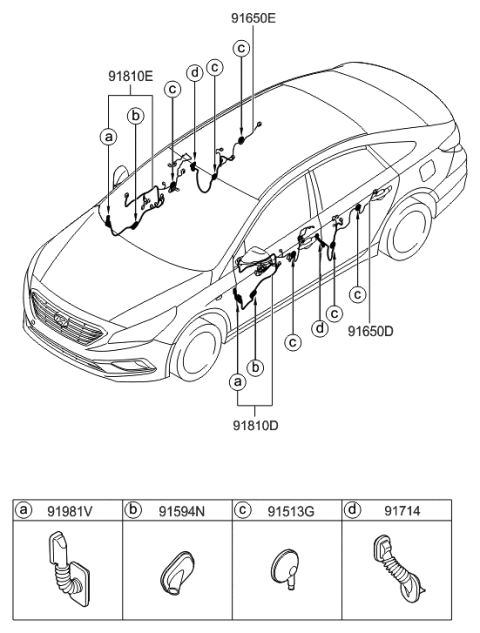 2015 Hyundai Sonata Wiring Assembly-Rear Door RH Diagram for 91660-C2010