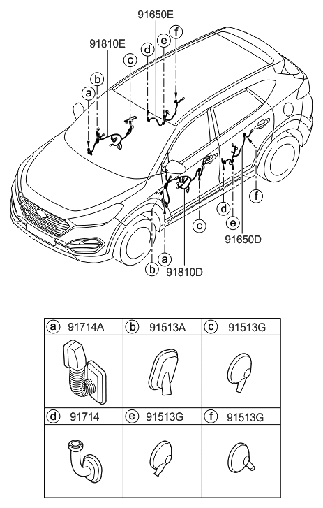 2015 Hyundai Tucson Wiring Assembly-Rear Door RH Diagram for 91660-D3010