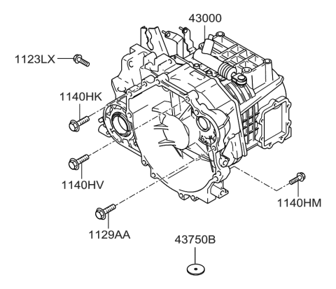 2004 Hyundai Tucson Transmission Assembly-Manual Diagram for 43000-39960