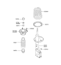 Diagram for 2002 Hyundai Elantra Coil Springs - 55330-2D100