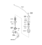 Diagram for 2015 Hyundai Genesis Coupe Coil Springs - 54630-2M610