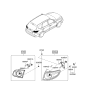 Diagram for 2010 Hyundai Santa Fe Light Socket - 92480-0W050