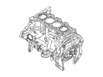 Hyundai 2D132-2EU00-HRM [Reman] Engine Assembly Short