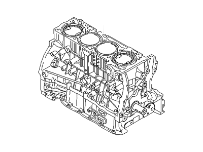 Hyundai 223TM-2GA03 Engine Assembly-Short