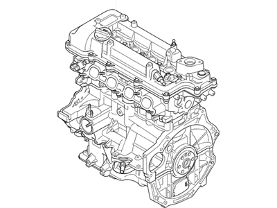 Hyundai 194N1-2BU00-HRM Reman Sub Engine