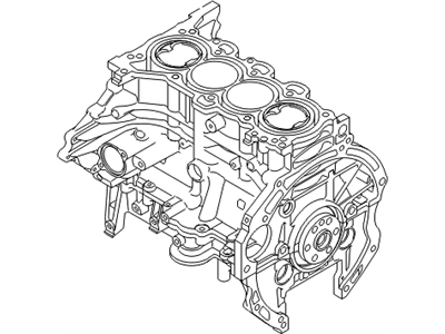 Hyundai 2D132-2EU01 Engine Assembly-Short