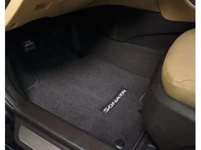 Hyundai Carpeted Floormats C1F14-AC000