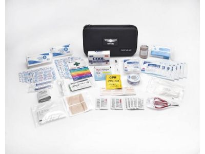 Hyundai Premium First Aid Kit B1F73-AU000-19