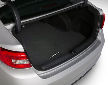 Hyundai Cargo Mat 3SF12-AQ000