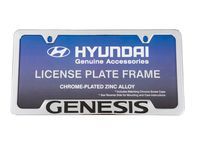 License Plate Frame