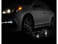 Hyundai Puddle Lighting - C2067-ADU00