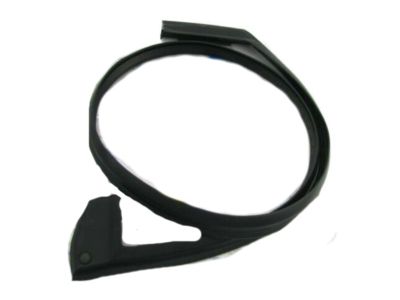 2013 Hyundai Santa Fe Sport Door Seal - 82160-4Z000