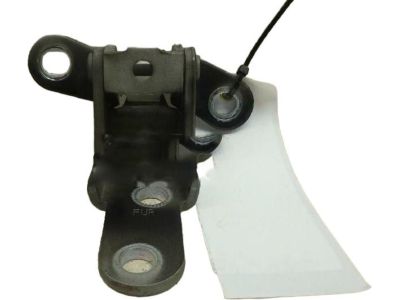 Hyundai Genesis Door Hinge - 79320-3M000