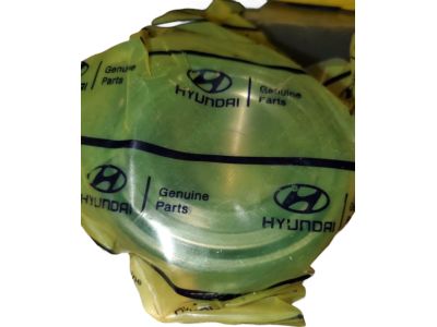 Hyundai Sonata Wheel Bearing - 51720-3A101