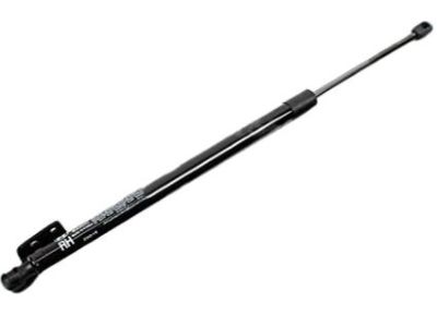 Hyundai Tailgate Lift Support - 81780-B8000