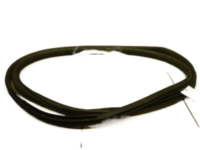 Hyundai 83120-3J000-CH Weatherstrip-Rear Door Body Side RH