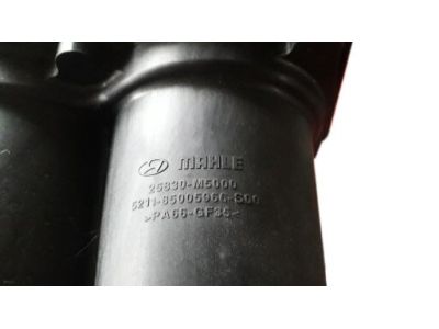 Hyundai 25830-M5000 Water Filter Assembly