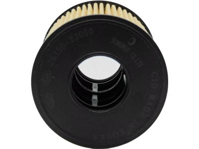 2022 Hyundai Kona Coolant Filter - 26350-2J000