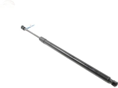 Hyundai Santa Fe Lift Support - 81840-S2000