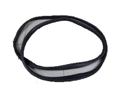 Hyundai Veracruz Weather Strip - 82120-3J000-CH