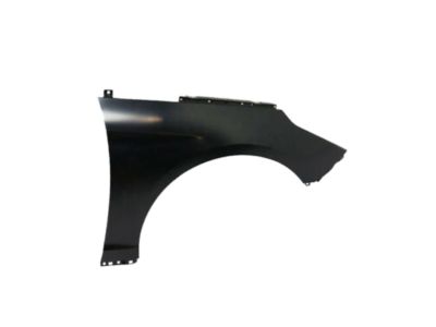 Hyundai 66321-C1000 Panel-Fender,RH