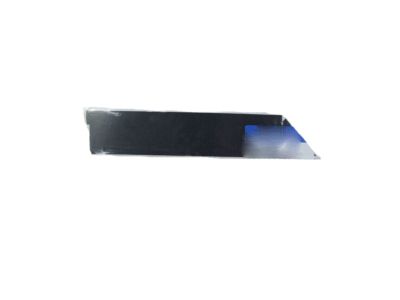 Hyundai 86393-1R000 Tape-Rear Door Frame Black Rear,RH