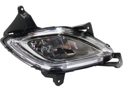 Hyundai 92202-3M210 Front Passenger Side Fog Light Assembly