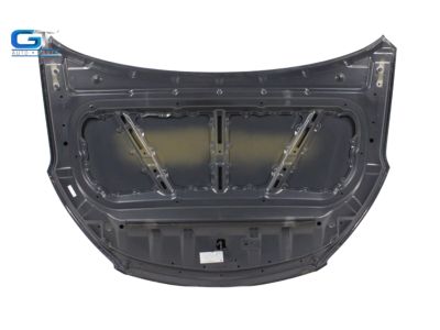 2015 Hyundai Santa Fe Hood - 66400-2W000