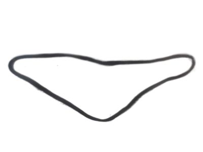 Hyundai 82110-0W002-CA Weatherstrip-Front Door Body Side LH