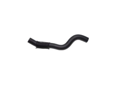 2014 Hyundai Genesis Radiator Hose - 25415-3M200