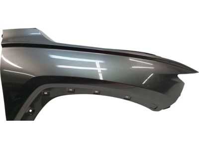 2026 Hyundai Tucson Fender - 66321-CW000