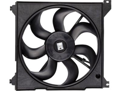 Hyundai Sonata Fan Blade - 25231-38000