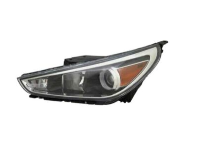 Hyundai 92101-G3040 Headlight Halogen Left Driver