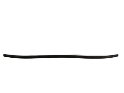 2017 Hyundai Elantra Weather Strip - 86430-F2000