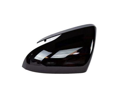 2020 Hyundai Elantra Mirror Cover - 87616-F2000