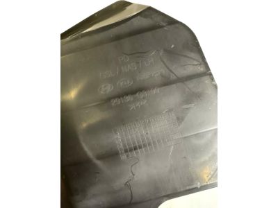29136-G3100 Hyundai Air Guard Left Product Photo 2 of 4