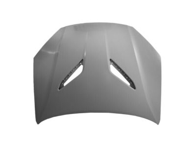 Hyundai Hood - 66400-2M500