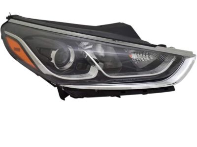 Hyundai 92102-C2500 Headlamp Assembly, Right