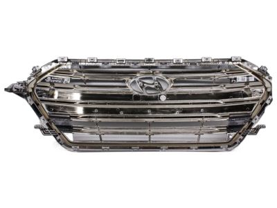 Hyundai 86350-F2100 Radiator Grille Assembly