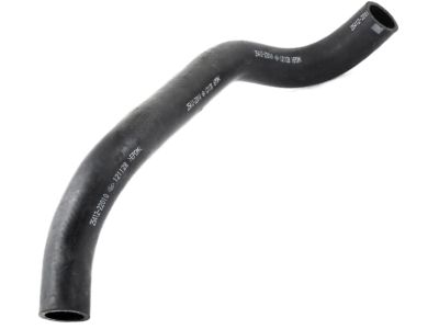 Hyundai 25412-22010 Hose-Radiator Lower