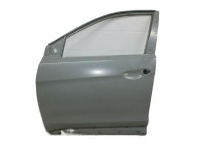 Hyundai 76003-4Z000 Panel Assembly-Front Door,LH
