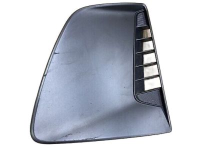 Hyundai 86518-G2000 Cover-D.R.L Blanking,RH