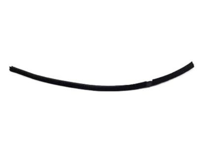 Hyundai 83231-F2000 Weatherstrip-Rear Door Belt Inside LH